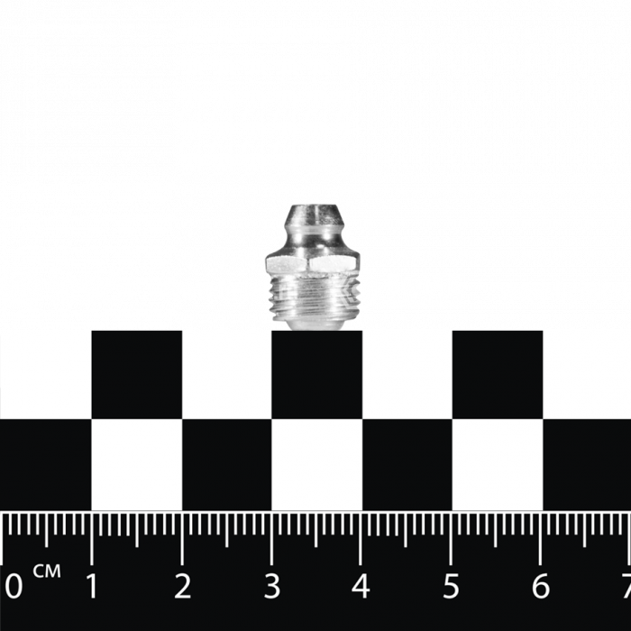 Масленка М10х1 БелАК