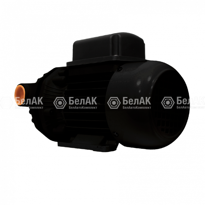 Насос "Орион"  220V для перекачки  дизеля и AdBlue, "БелАК"